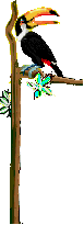 Click on 'Start Show'